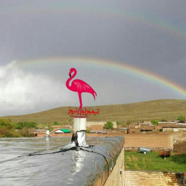Channel Photo