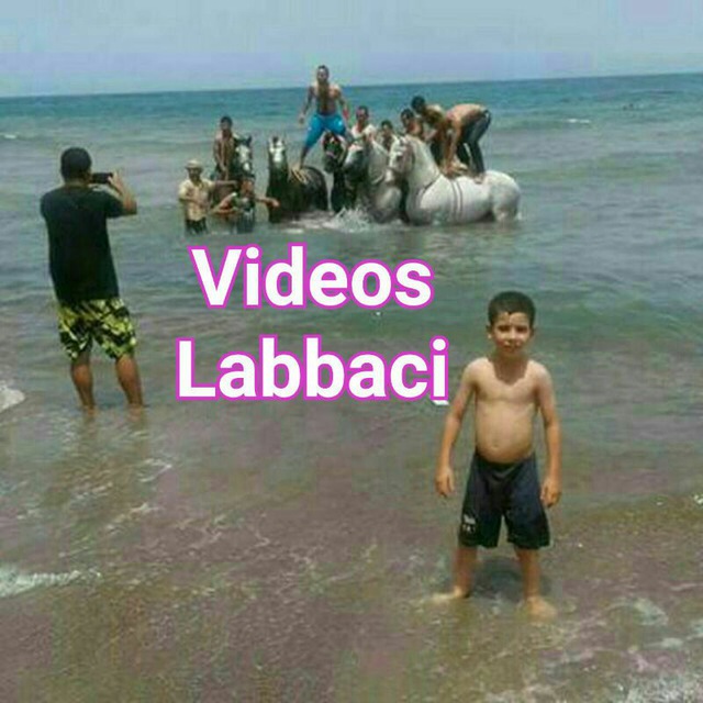 Channel Photo