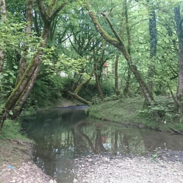 Channel Photo