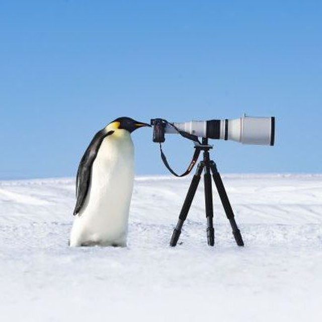 Channel Photo