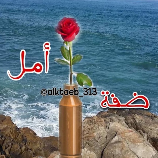 Channel Photo