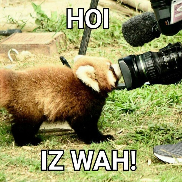 Channel Photo