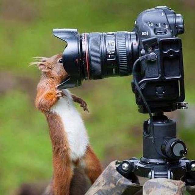 Channel Photo