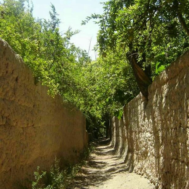 Channel Photo