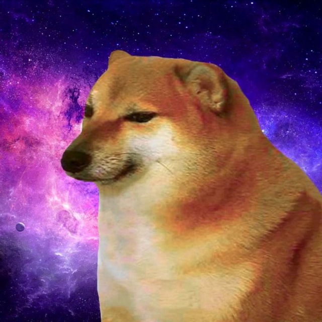 Channel Photo
