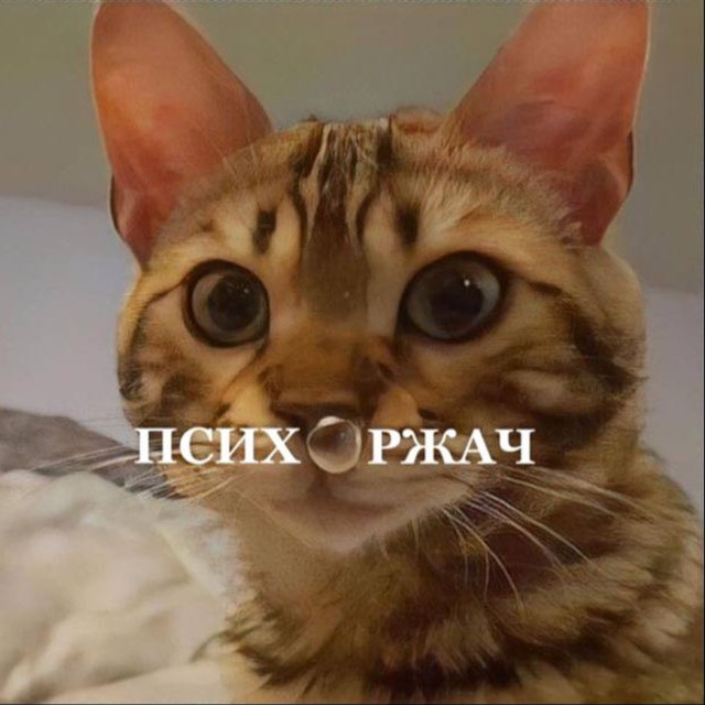 Channel Photo