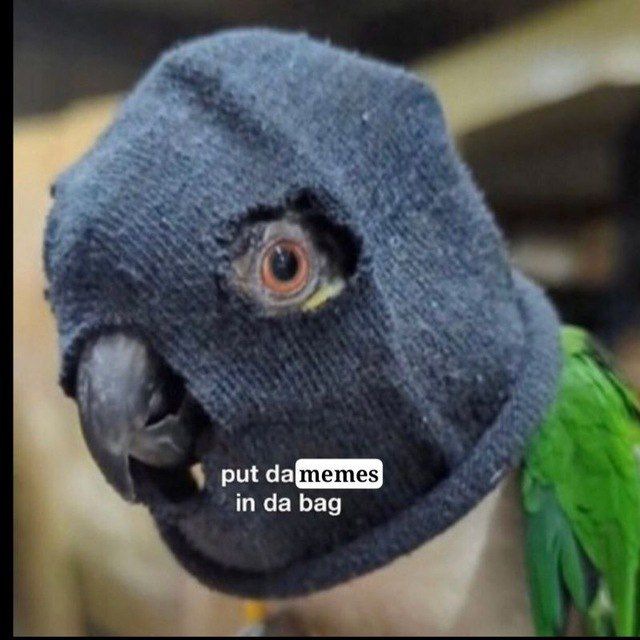 Channel Photo