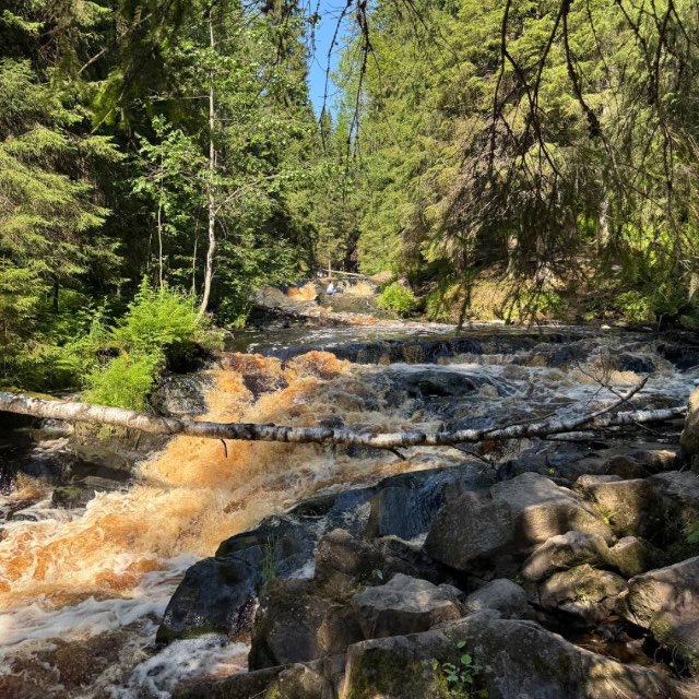 Channel Photo