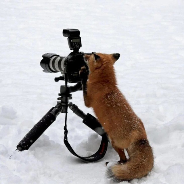 Channel Photo