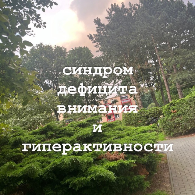 Channel Photo