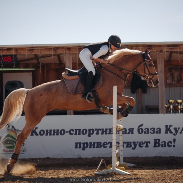 Channel Photo