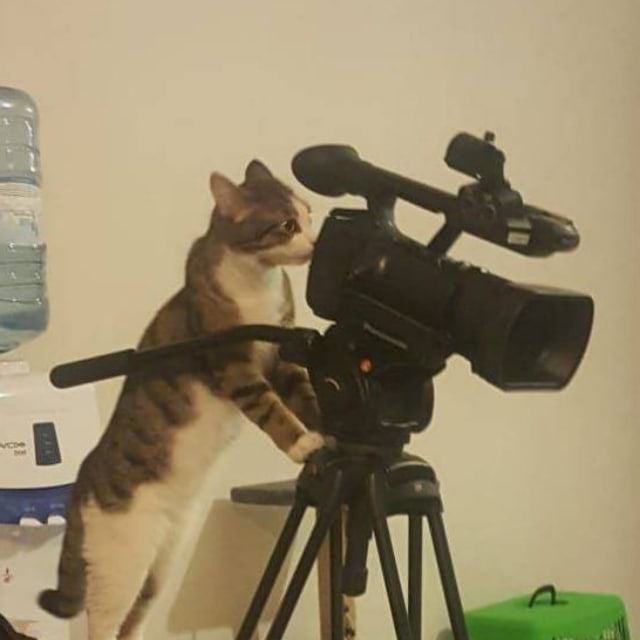 Channel Photo