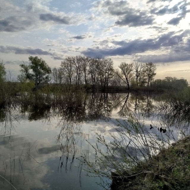 Channel Photo