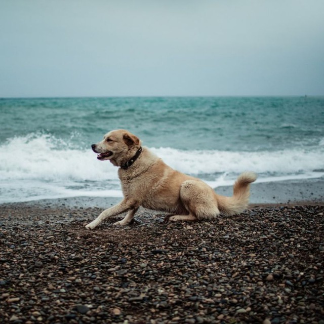 Channel Photo