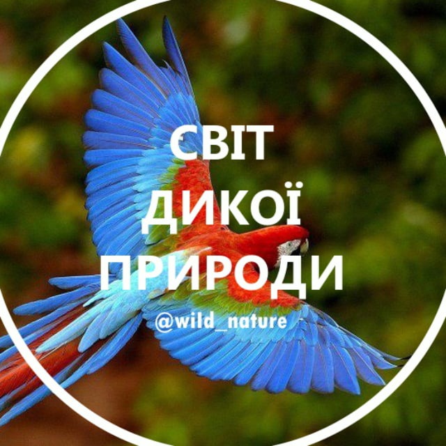Channel Photo