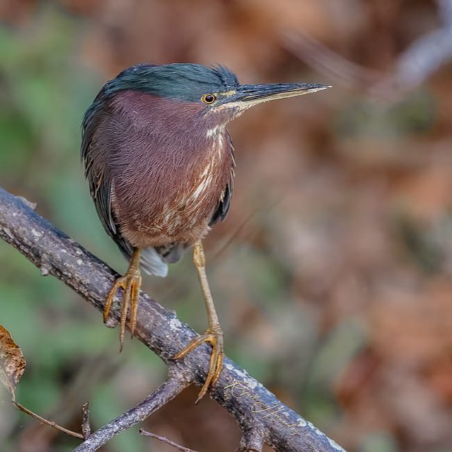 Channel Photo