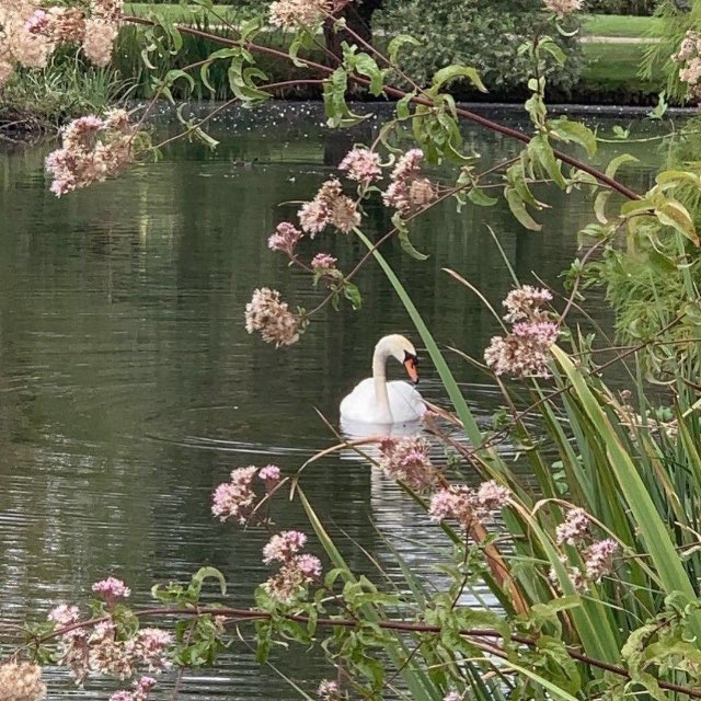 Channel Photo