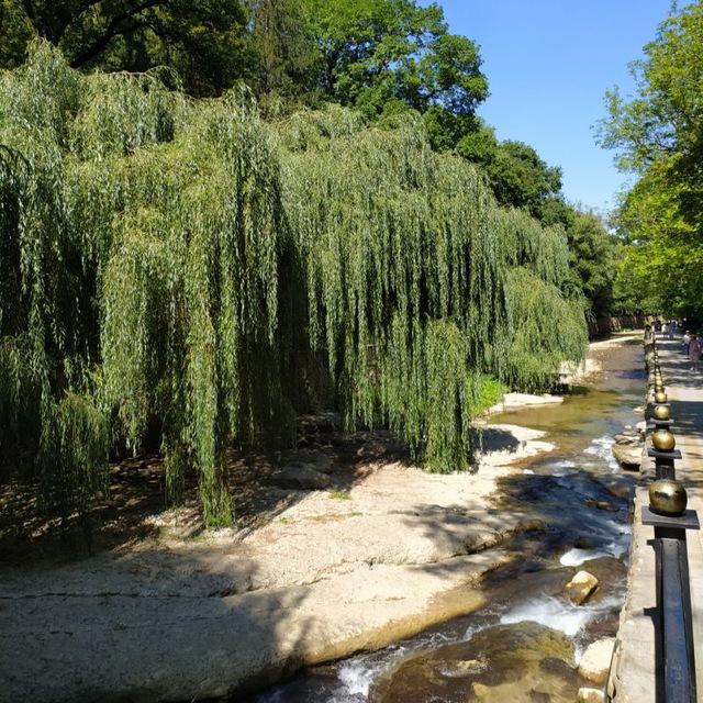Channel Photo