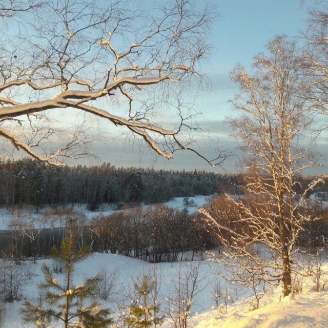 Channel Photo