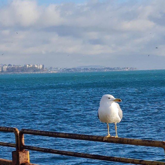 Channel Photo
