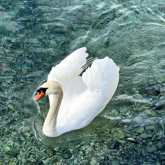 Channel Photo