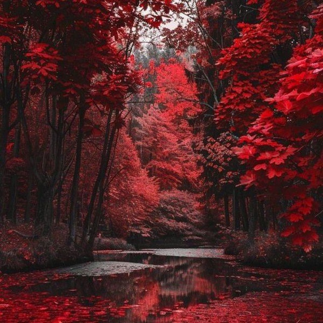 Channel Photo