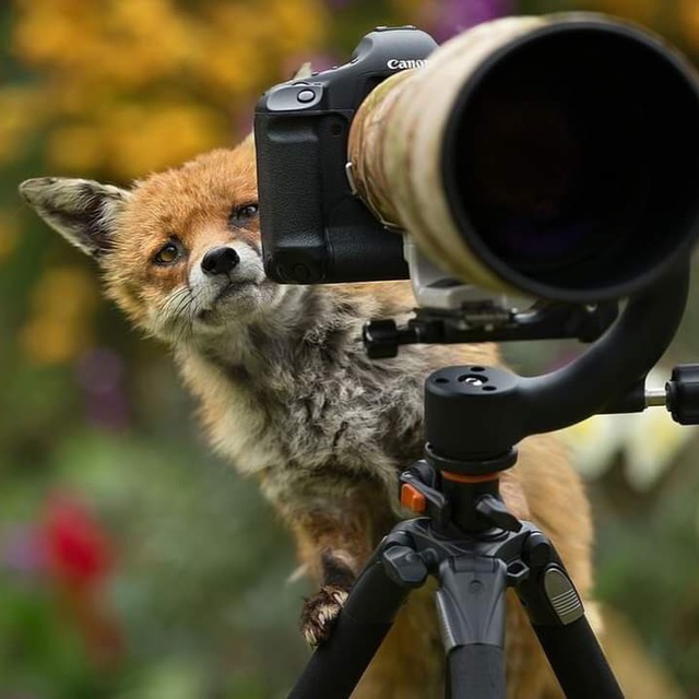 Channel Photo