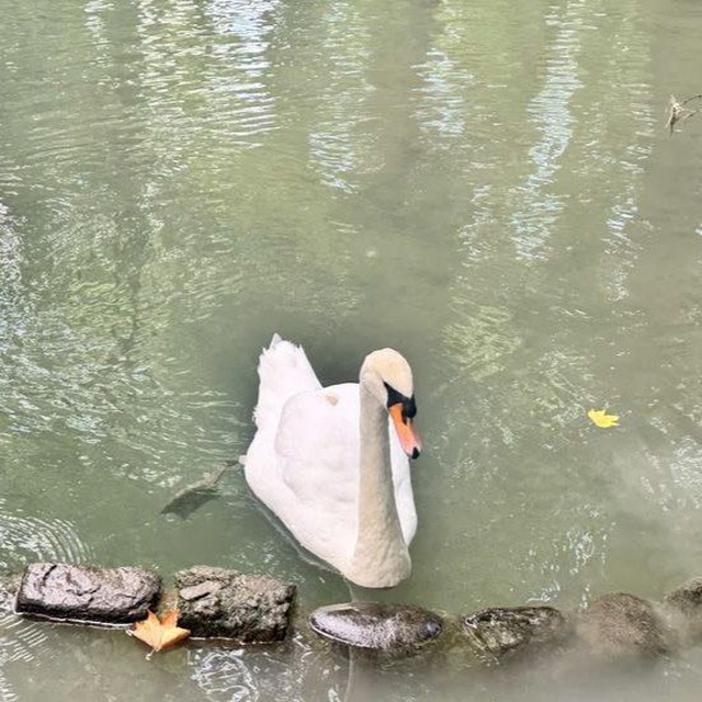 Channel Photo