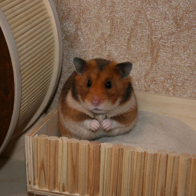 Channel Photo