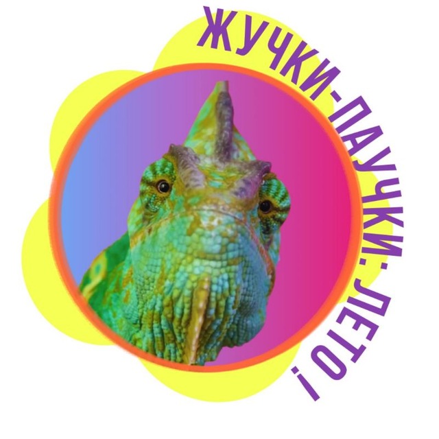 Channel Photo