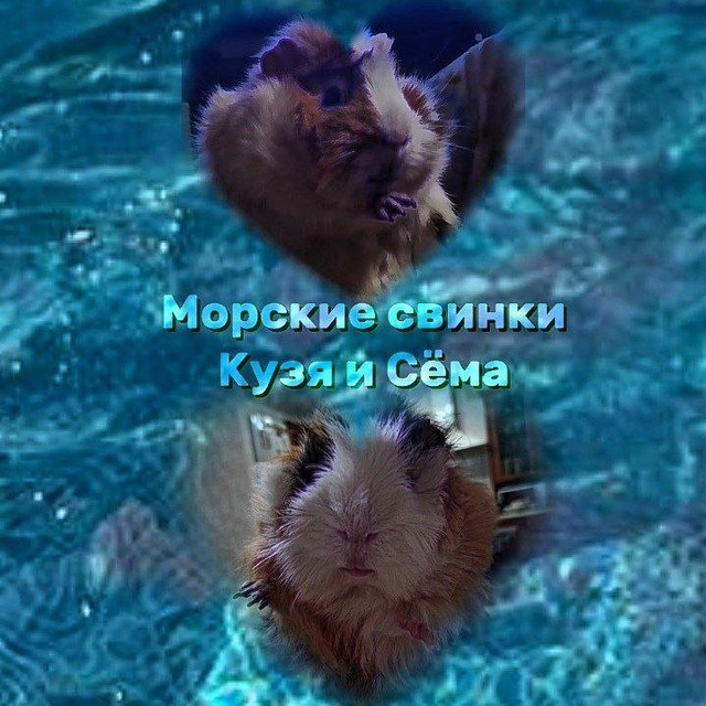 Channel Photo