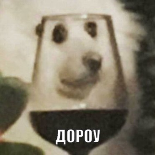 Channel Photo