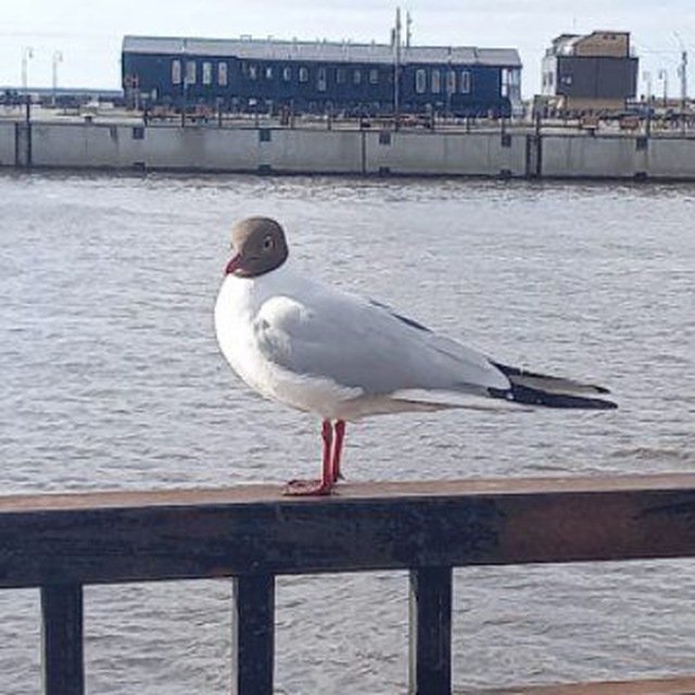 Channel Photo