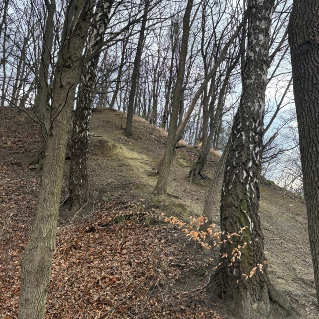 Channel Photo