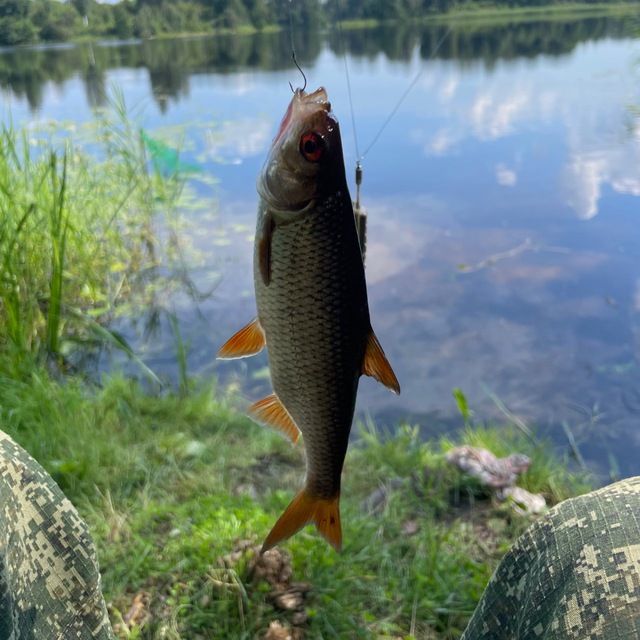 Channel Photo