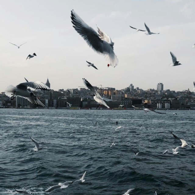 Channel Photo