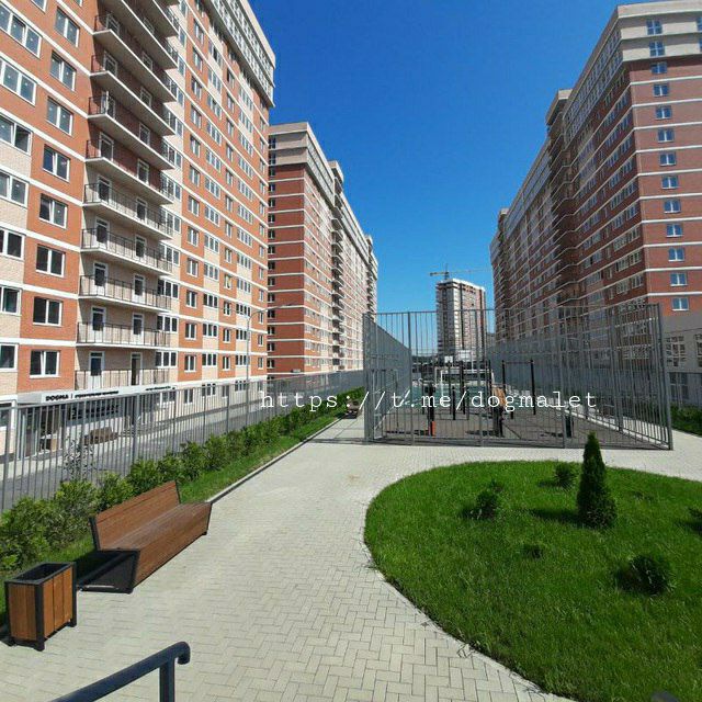 Channel Photo