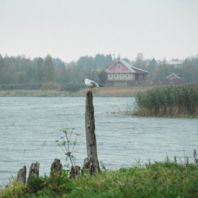 Channel Photo