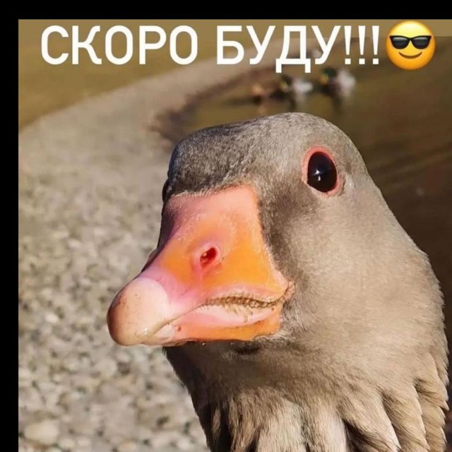 Channel Photo