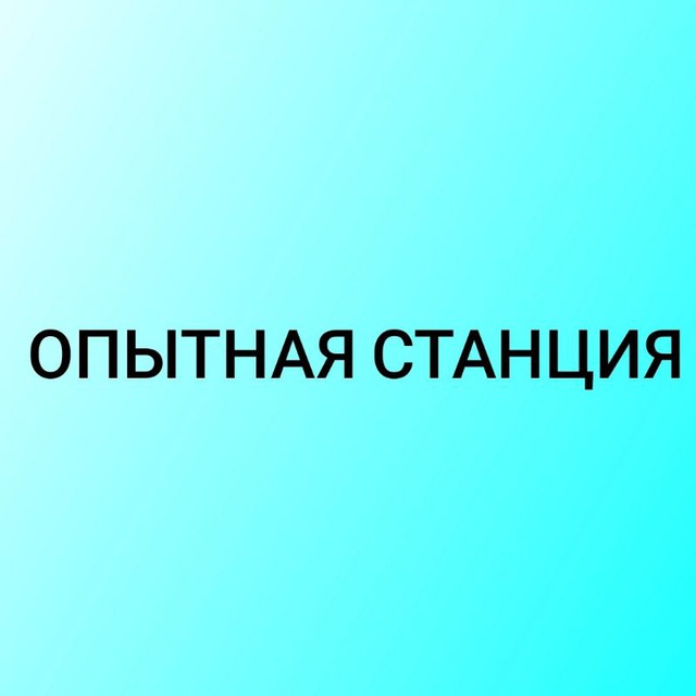 Channel Photo