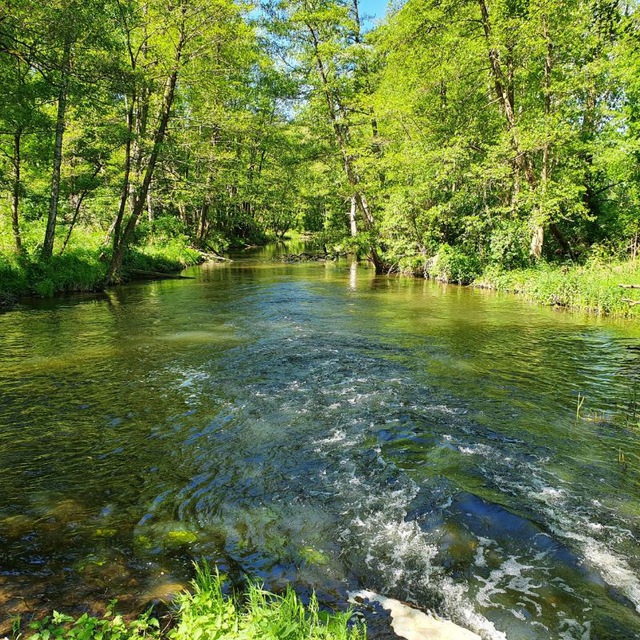 Channel Photo