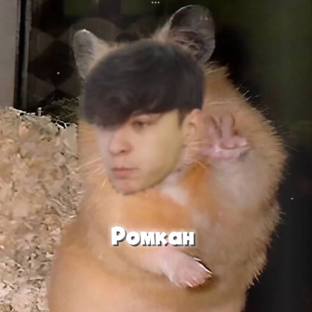Channel Photo