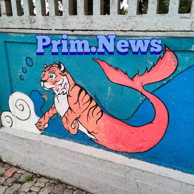 Channel Photo