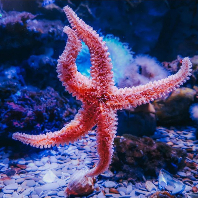 Channel Photo