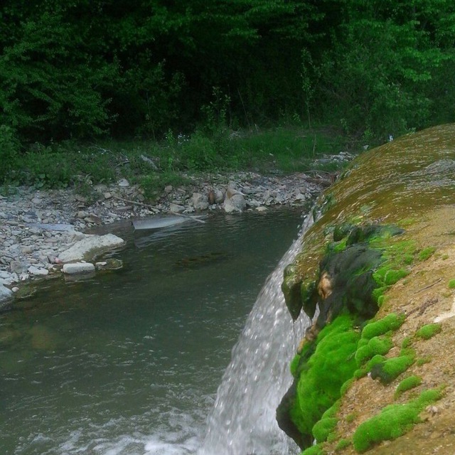 Channel Photo