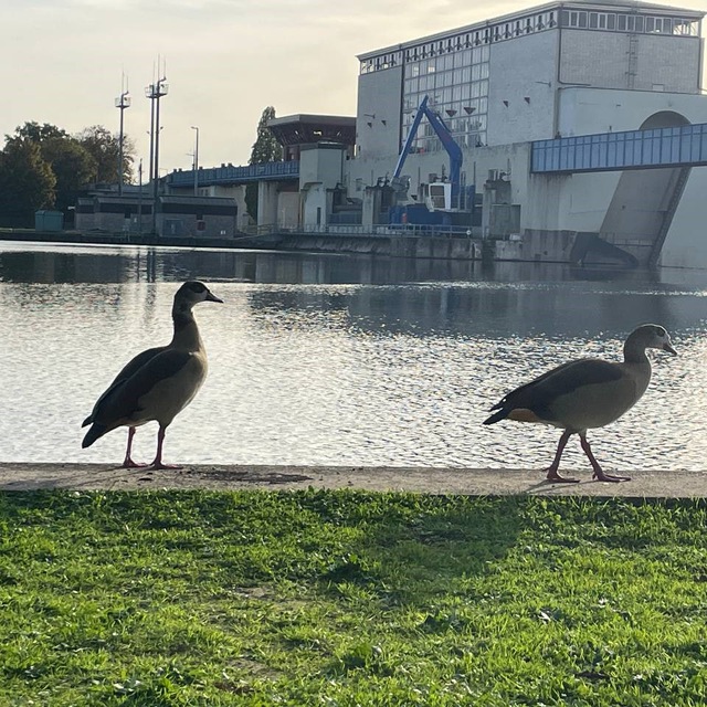Channel Photo