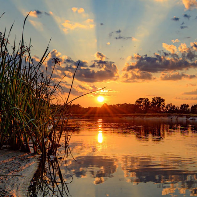Channel Photo