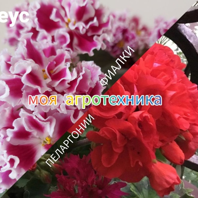 Channel Photo
