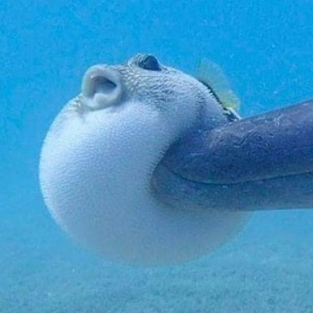 Channel Photo
