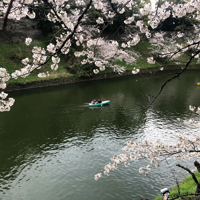 Channel Photo